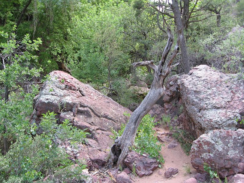 Tonto Natural Bridge 041.jpg